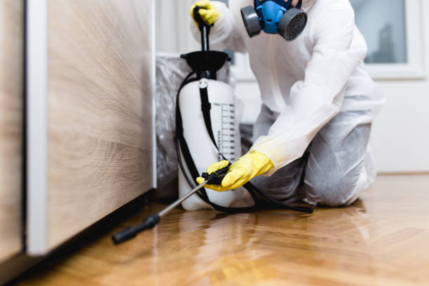 Best Wasp Removal Services  in Maryland City, MD