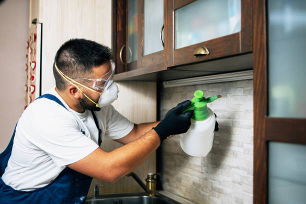 Trusted Maryland City, MD Pest Control Experts