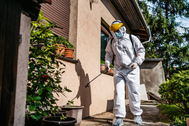 Best Pest Control Near Me  in Maryland City, MD