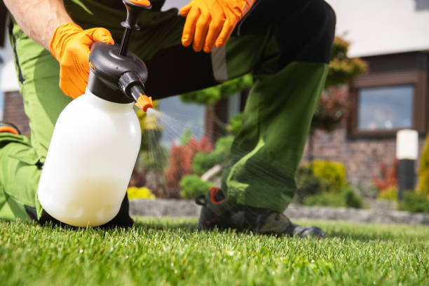 Best Emergency Pest Control  in Maryland City, MD