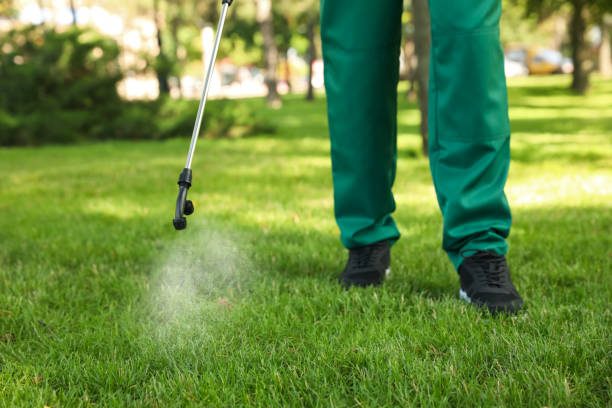 Best Pest Control Treatment  in Maryland City, MD