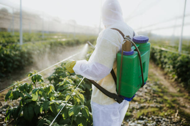 Best Pest Prevention Services  in Maryland City, MD